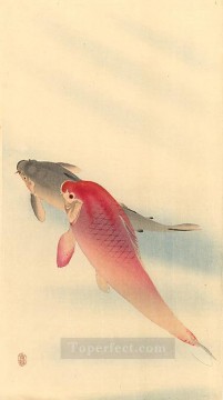 Tier Werke - Karpfen Ohara Koson Fisch
